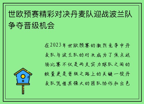 世欧预赛精彩对决丹麦队迎战波兰队争夺晋级机会