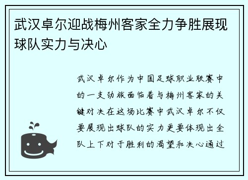 武汉卓尔迎战梅州客家全力争胜展现球队实力与决心