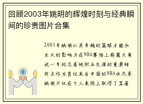 回顾2003年姚明的辉煌时刻与经典瞬间的珍贵图片合集